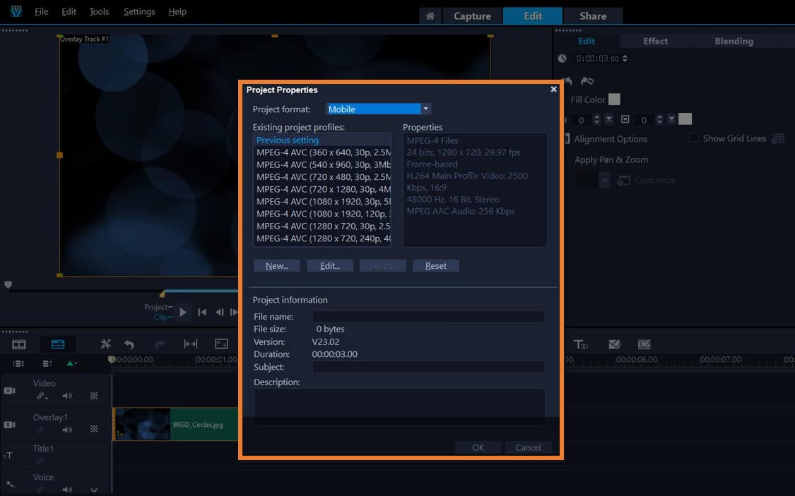Adjust project properties
