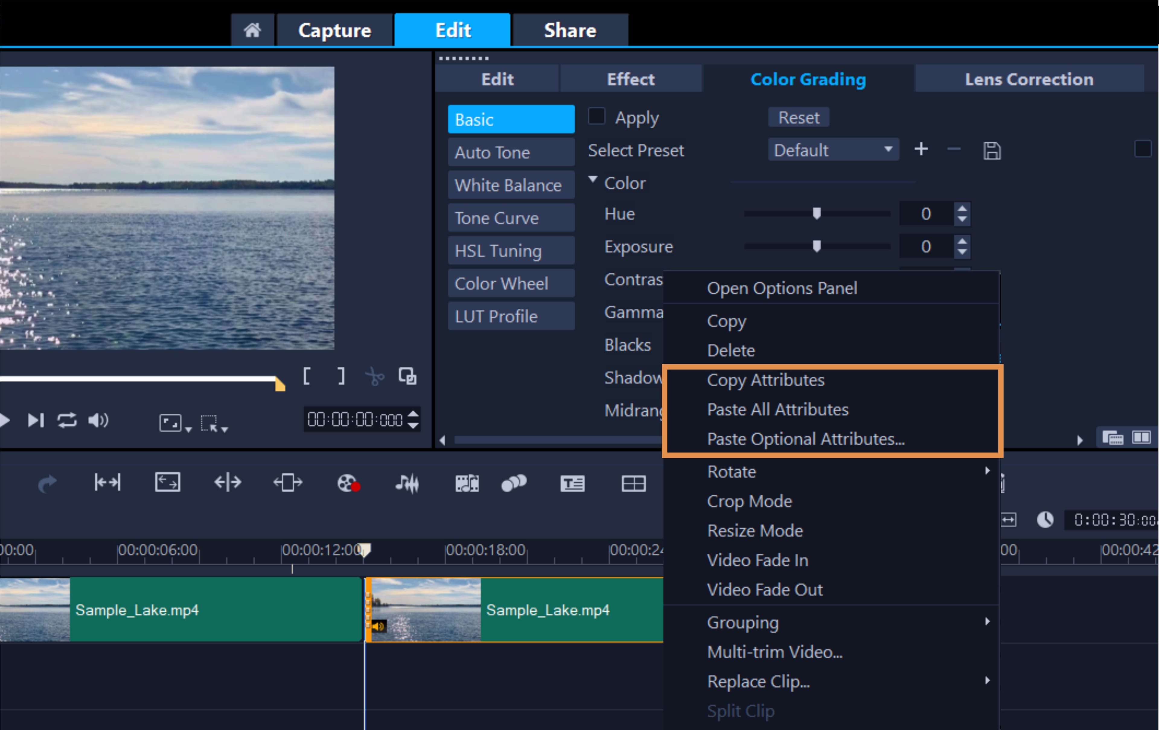 what is the best color correction software for video